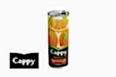  Cappy Orange 